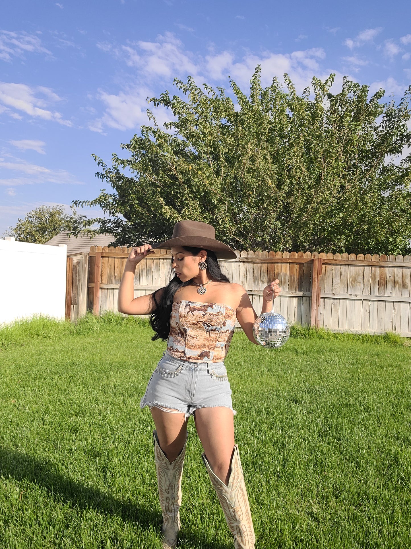 Wild Horse Coset Top