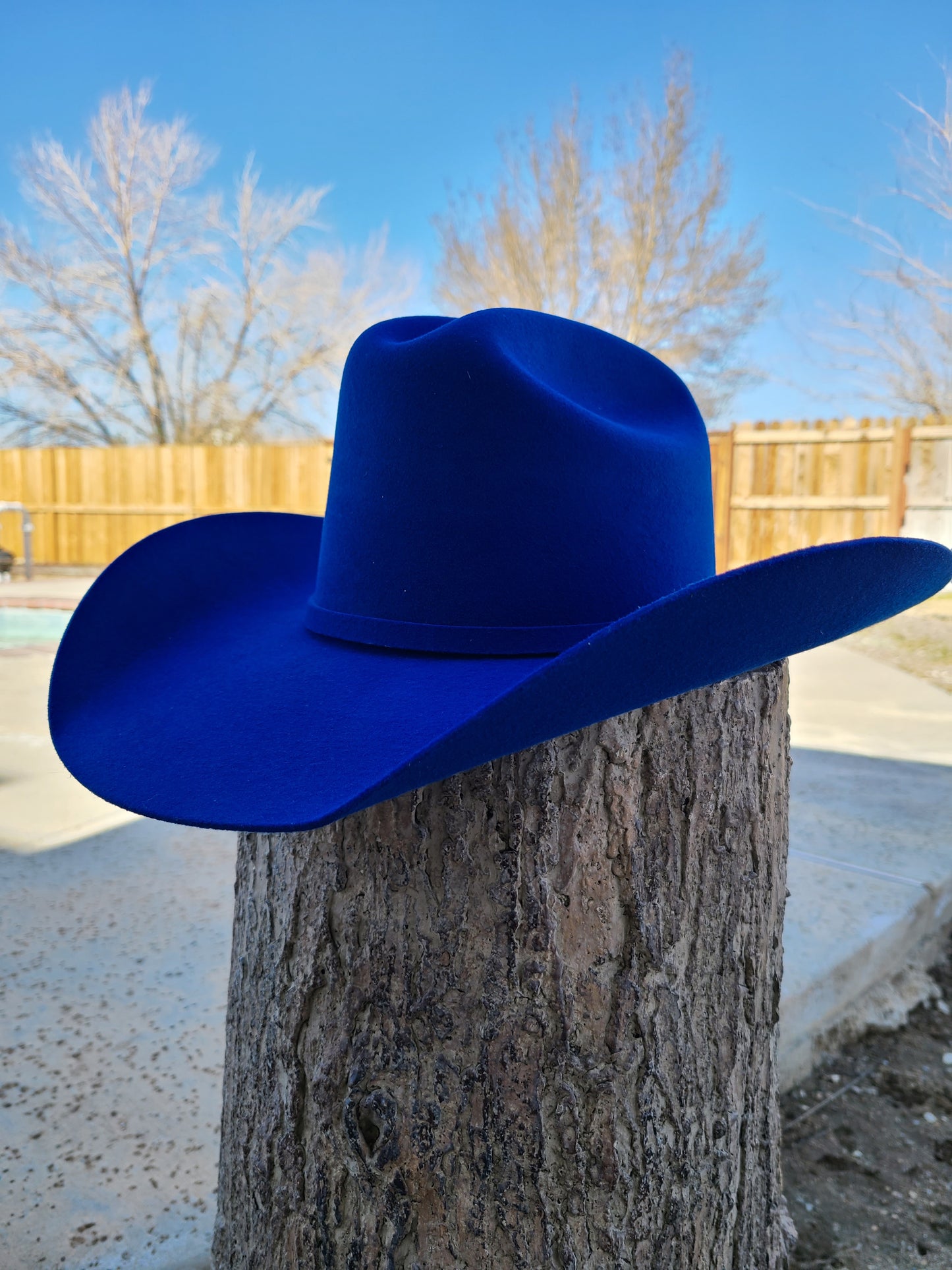 Royal Tejana