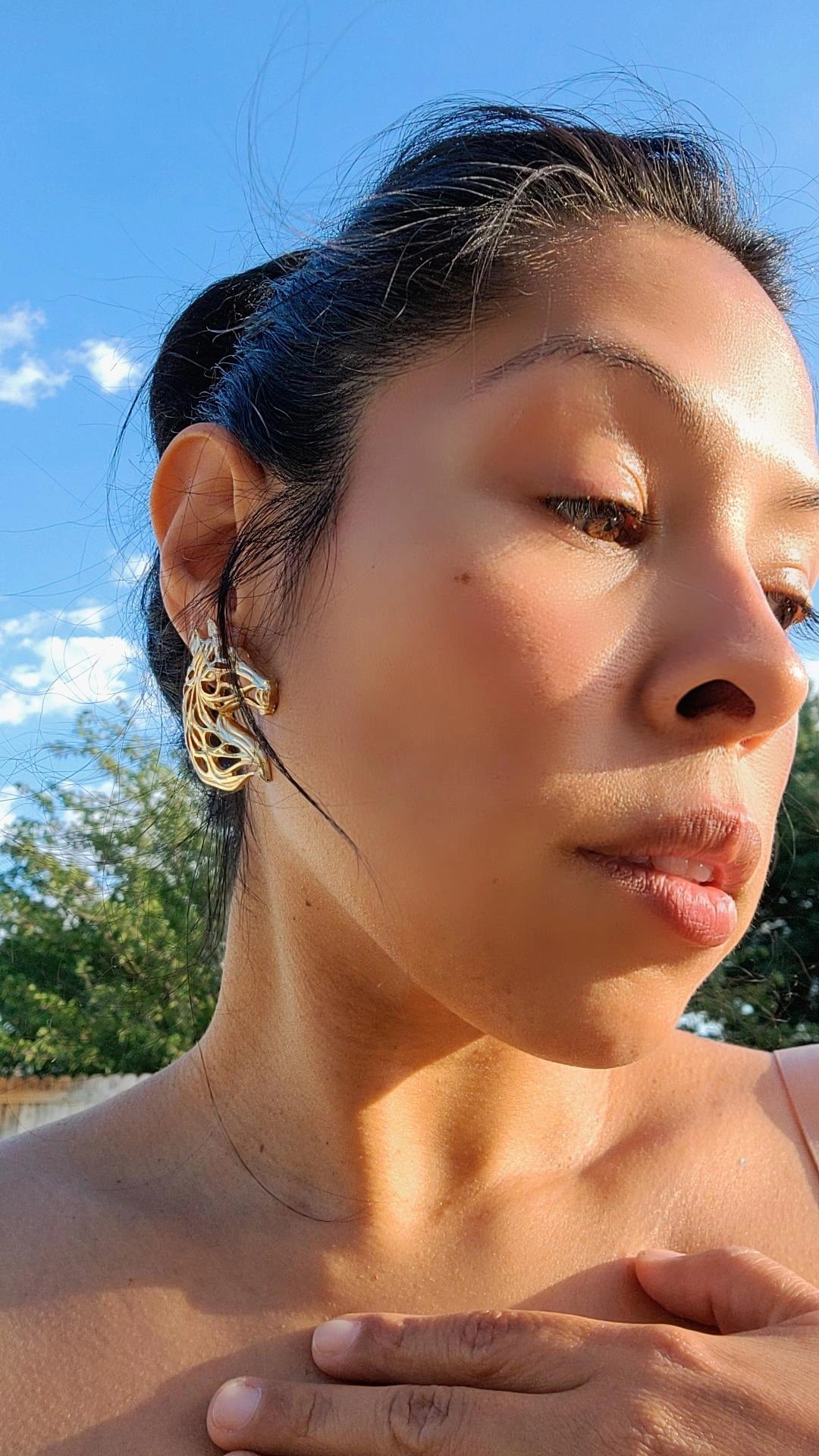 Horse Head Earrings