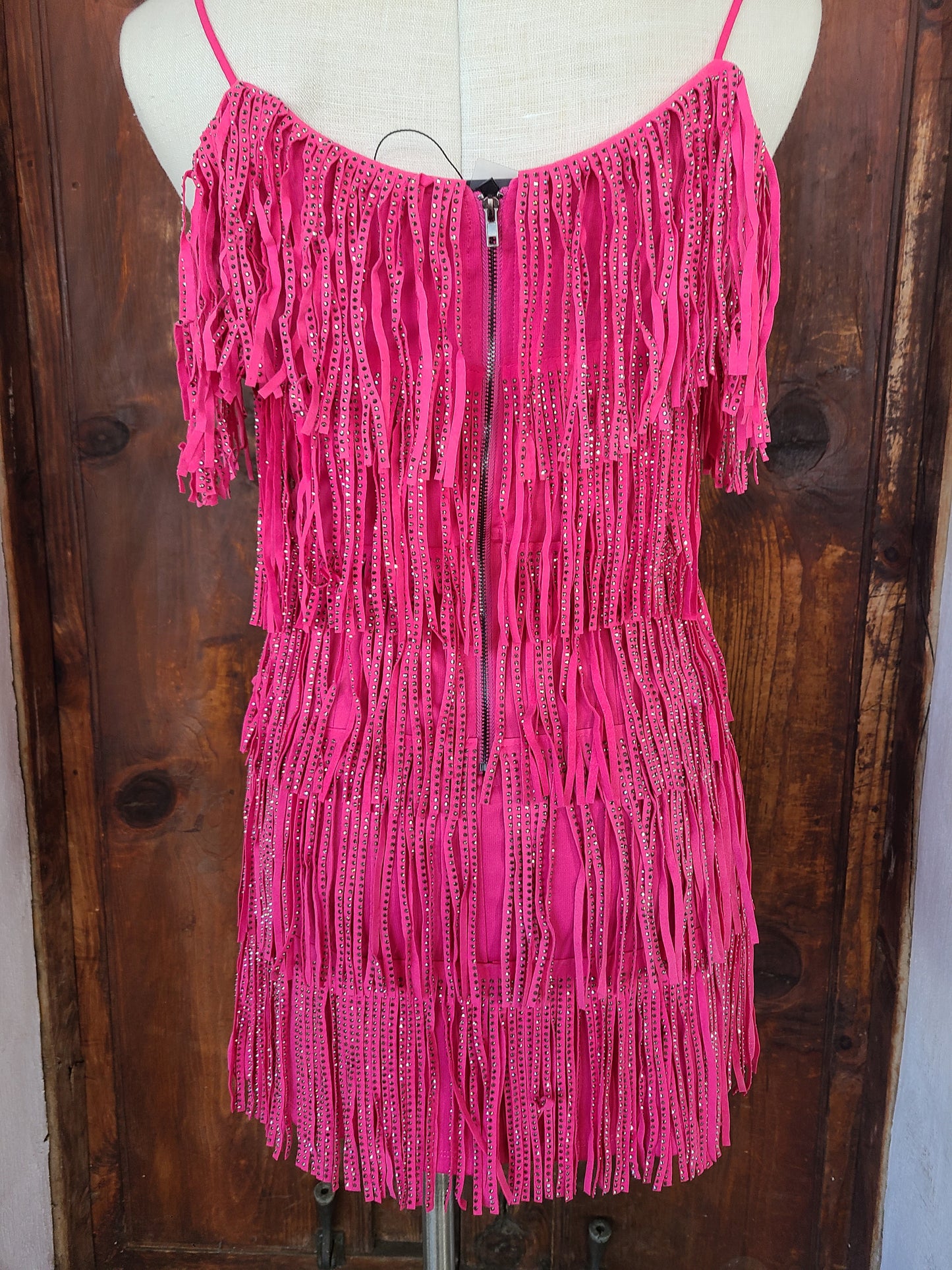Cha Cha Fringe Dress