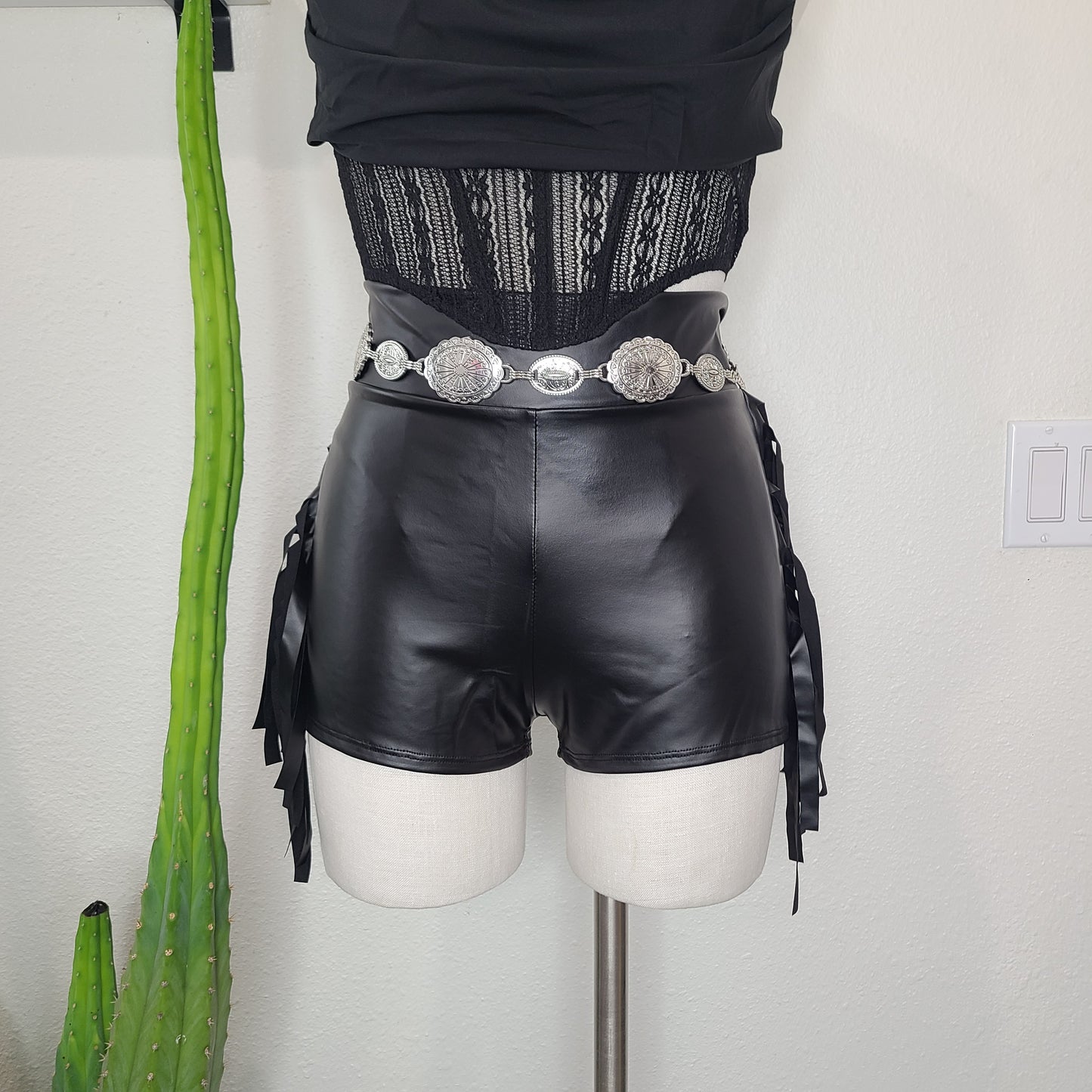 Rock Star Fringe Shorts